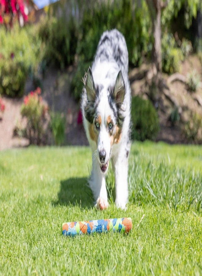 Chuckit! EcoFetch Fetch Stick Dog Toy, Pack of 1, for All Breed Sizes (EcoFetch Stick) - Image 3